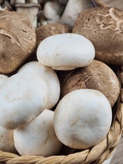 Fototapeta na wymiar 신선한 유기농 표고버섯, 느타리버섯, 양송이버섯
