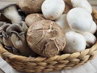 신선한 유기농 표고버섯, 느타리버섯, 양송이버섯
