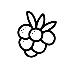 Doodle ripe raspberry. Outline berry with leaves on white background. Hand-drawn fruit. Symbol of summer, healthy raw food, gardening, market. Fresh cute organic print. Vector blackberry illustration