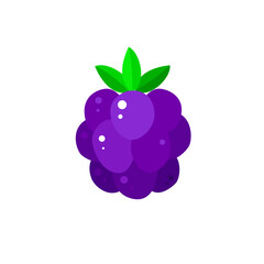 Vector blackberry on white background. Beautiful food element for your design.