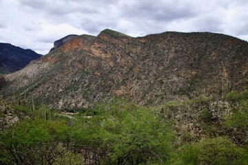 Naklejka premium landscape with sky and clouds