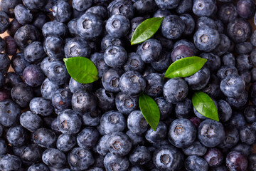 Fresh ripe blueberries close up
