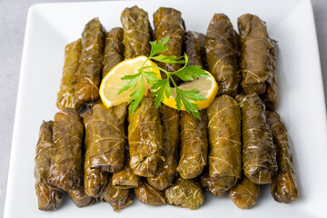 Delicious dolma (sarma) stuffed grape leaves rice, white yogurt sauce. Lebanese dolma sarma on plate. Lebanon turkish greek middle eastern cuisine. (Turkish name; Yaprak sarma)