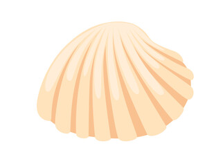 Colorful tropical underwater shell cartoon design vector illustration isolated on white background