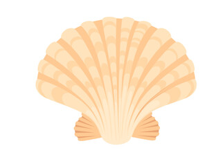 Colorful tropical underwater shell cartoon design vector illustration isolated on white background
