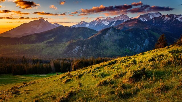 Fototapeta Wschód słońca nad Tatrami i Pieninami widziany z drogi na Gęsią Szyję w czerwcu