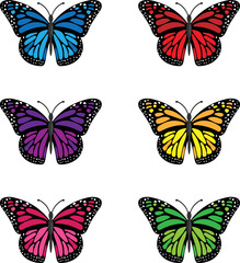 Fototapeta na wymiar set of 6 Butterfly Vector illustration. Butterfly clip art or image.