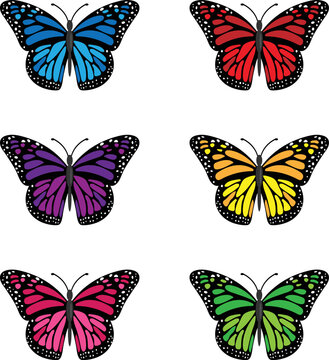 set of 6 Butterfly Vector illustration. Butterfly clip art or image.