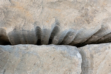 Small karst features in limestone, caused by dissolution of calcium carbonate