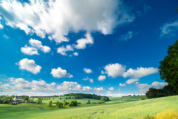 panorama of a green summer field on a sunny day and clouds on blue sky
