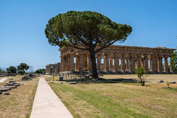 Pathway leading to the  two Hera Temples of Paestum archaeological site, Campania, Italy