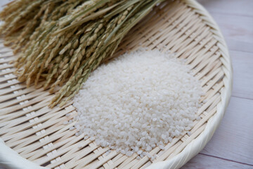 White rice and ears of rice on a white wooden background. Healthy and fresh grain and ingredients image background.