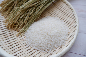 Fototapeta na wymiar White rice and ears of rice on a white wooden background. Healthy and fresh grain and ingredients image background.