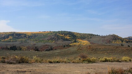 Fall Landscape with Trees and Hills