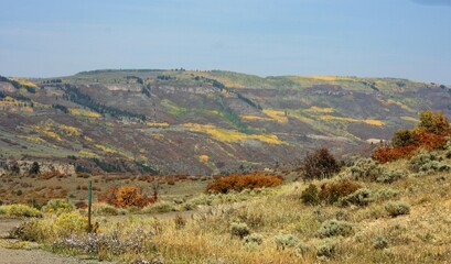 Fototapeta premium Fall Landscape with Trees and Hills
