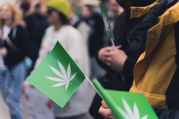 Small green flags with white image of cannabis leaf held by unrecognizable pro-marijuana protesters...