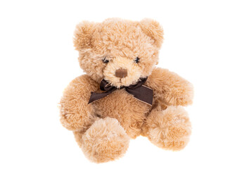 soft toy bear isolated