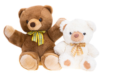 soft toy bear isolated