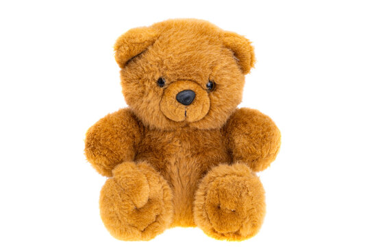 soft toy bear isolated