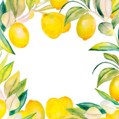 Lemons on a branch watercolor frame. Hand drawn illustration of yellow citrus fruits for greeting and invitation cards. Template for wedding design.