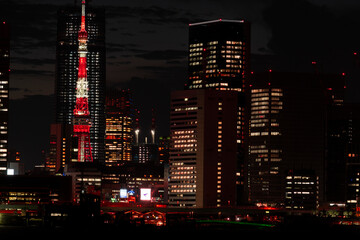 東京タワー　夜景　都市風景