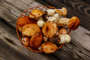 Freshly picked forest mushrooms in basket on rustic wooden table. Top view