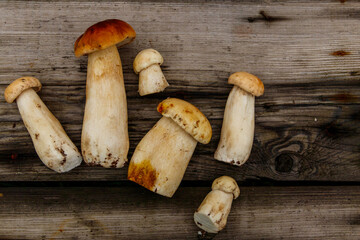 Freshly picked porcini mushrooms on rustic wooden table. Top view