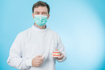 Portrait of Caucasian doctor standing and smiling in blue background. Dentist professional stand holding tooth structure model and toothbrush with smile and looking at camera, Oral care health concept