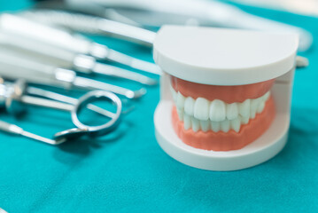 Shot of Oral dental care equipment putting in blue background. Tooth structure model and toothbrush put on table, Oral care health concept.