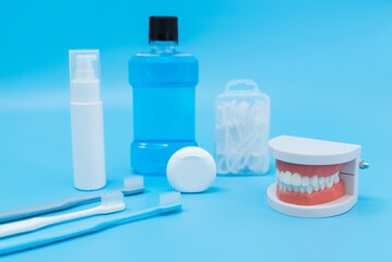 Shot of Oral dental care equipment putting in blue background. Tooth structure model and toothbrush put on table, Oral care health concept.
