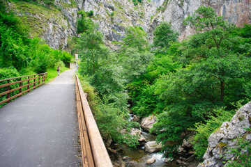 Fototapeta premium Asturias, Teverga, senda del oso, España, Spain