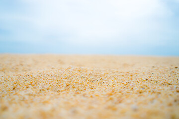 Fototapeta na wymiar sand on the beach.