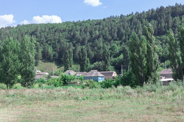 Green village in summer . Rustic scenery with houses