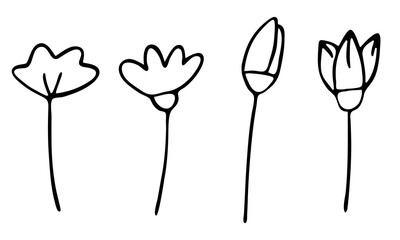 vector flowers and buds set in doodle style.hand-drawn black and white outline illustration.