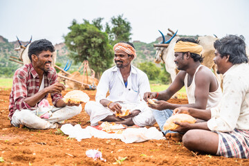 happy smiling Group of farmers having lunch while sitting at farmland in front of cattle - concept...