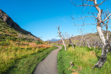 Magical colorful valley with austral dead forests, lagoons, glacial streams and high mountains in...