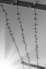 A strip of barbed cold wire in a perishable blue sky. Rays of the sun. Barbed wire fence. Prohibited zone, restriction of freedom.