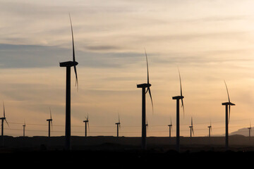 Rows of wind turbines generating renewable clean energy in Egypt