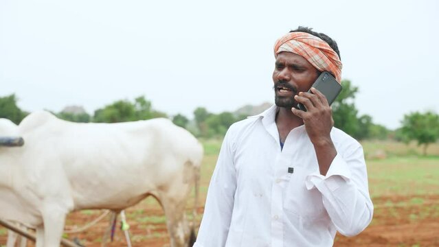 Farmer in front of cattle talking on mobile phone at farmland while working - concept of technology, taking break and rural India.