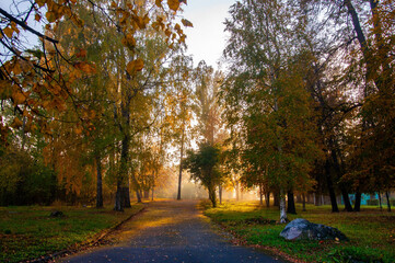 autumn landscape with a path in a public park