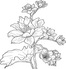 hand drawn flower composition