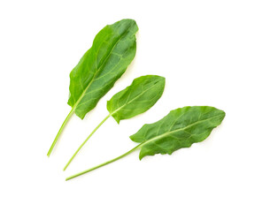 Three young fresh leaves of sorrel isolated on white, top view