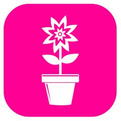 Flower icon flora sign symbol design