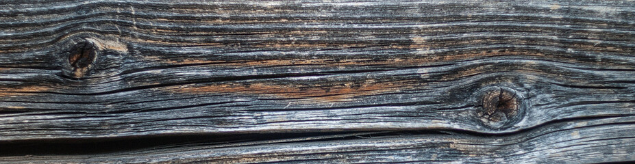 Close-up of old wood texture.