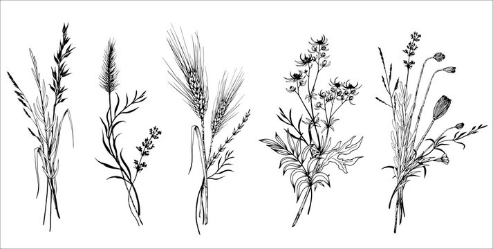 Set of wildflowers bouquets. Hand drawn black and white vector illustration.