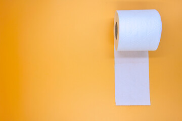 toilet paper on a wall