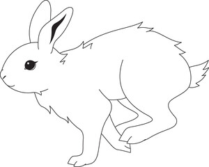 白うさぎ　走る　モノクロ