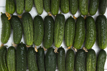 Plucked ripe cucumbers, white wooden background. Green healthy vegetables, top view