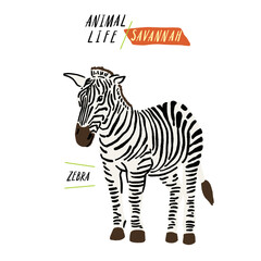 Zebra Savannah Animal Life Hand drawn Cartoon color illustration