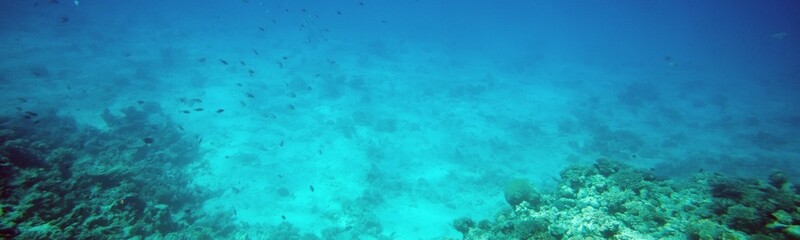 Underwater Background Very Cool